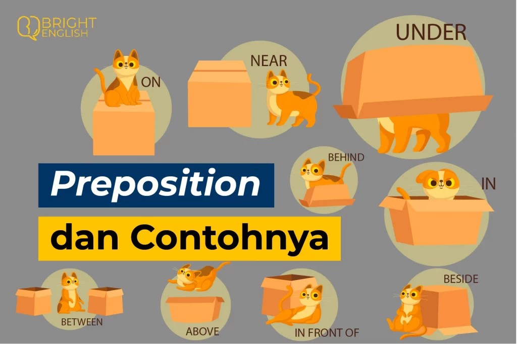 Preposition dan Contohnya